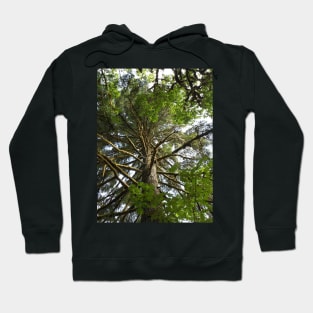 Mossy Tree Nature Photography Pacific Northwest Hoodie